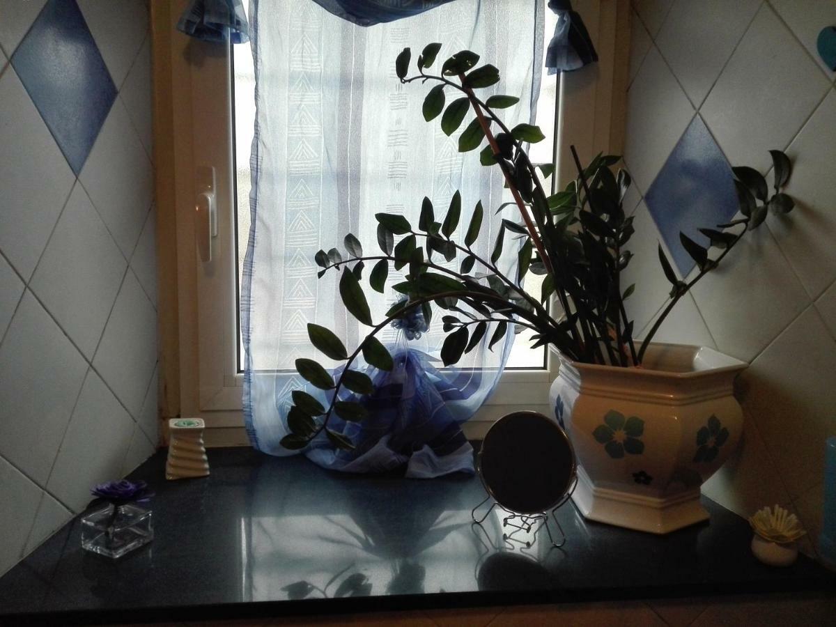 ונאריה ריאלה Sally'S House מראה חיצוני תמונה